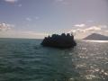 gal/Ile Maurice/_thb_SP_A0126_Ile_aux Benitiers.jpg